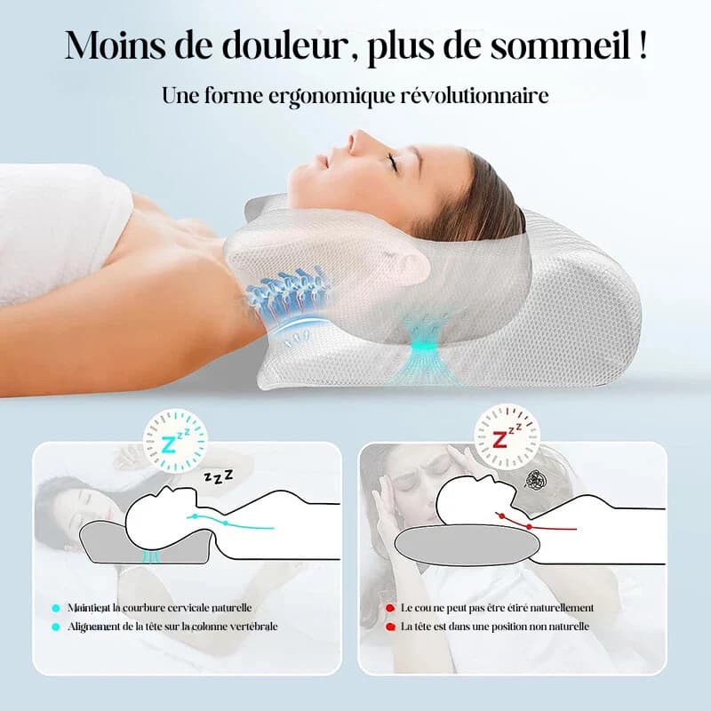 L'OREILLER DORSAL+