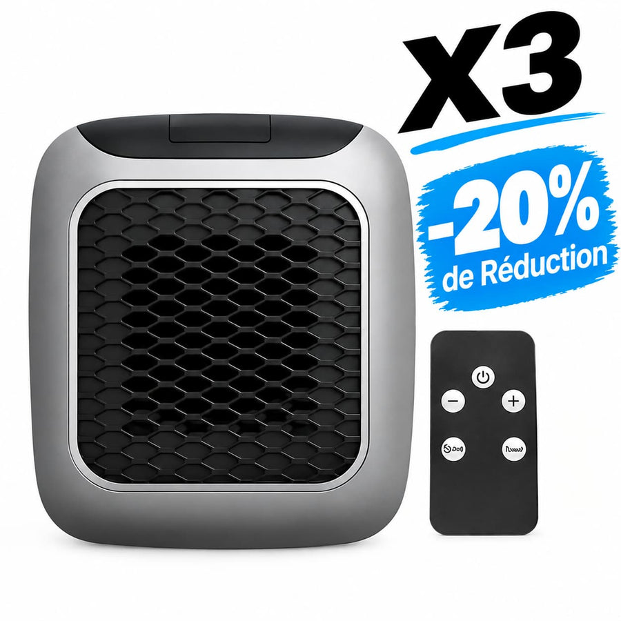 Chauffage Économique Mural Portable