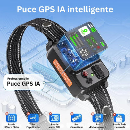Le 1er Collier Anti-Fugue GPS SANS ABONNEMENT