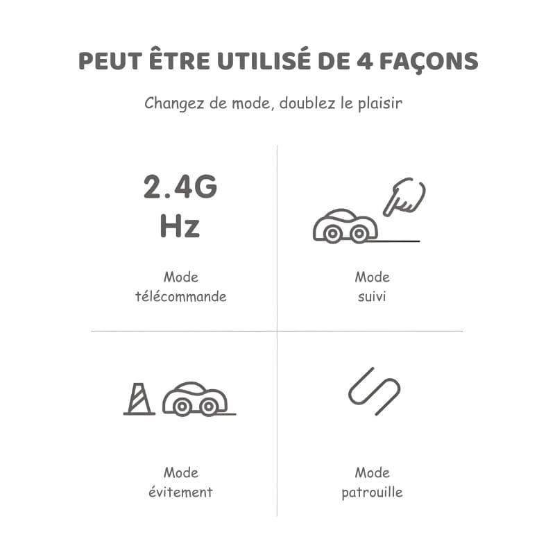 Mini voiture télécommandée cochon pour enfant