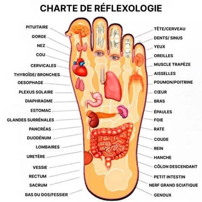 Pantoufle avec semelle d’acupression massante