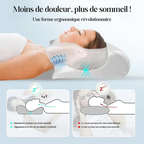 L'OREILLER DORSAL+