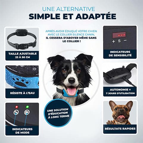 Collier Anti Aboiement PuppyCare™  - Sans Choc Électrique