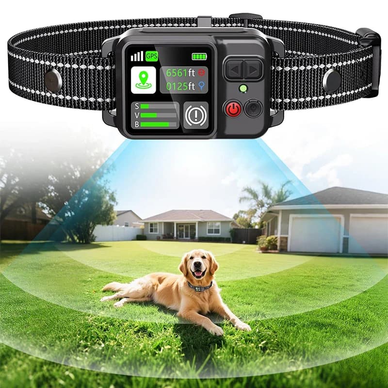 Le 1er Collier Anti-Fugue GPS SANS ABONNEMENT