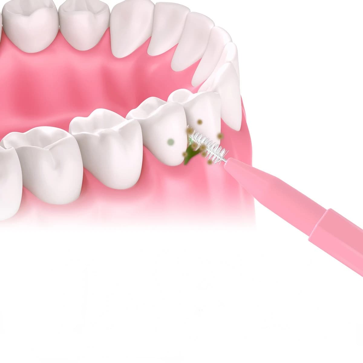 Lot de trente nettoyeurs de dents de style brosse